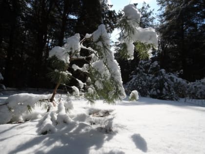 Приметы и запреты на 12 февраля: чего категорически нельзя делать на Трехсвятие