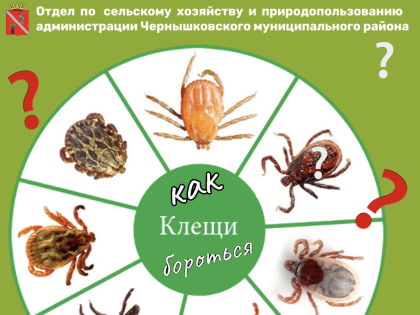 Как бороться с клещами