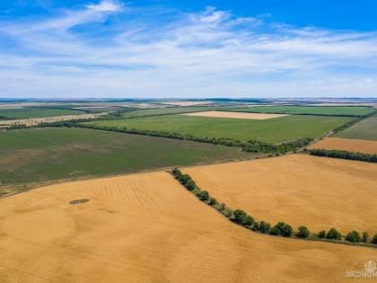 В Волгоградской области вдвое за 10 лет сократилась площадь неиспользуемых сельхозземель
