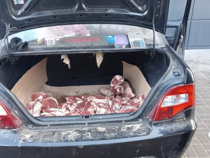 В Волжском продолжается борьба с несанкционированной торговлей