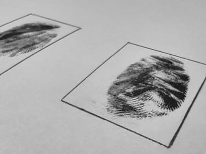 В России хотят смягчить наказания для экономических преступников