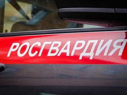 В Камышине росгвардейцы задержали угонщика и вора