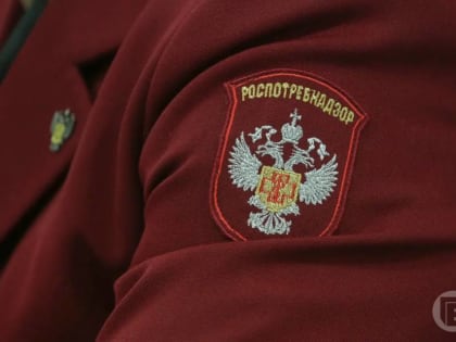 Волгоградцы просят разъяснить вопросы профилактики гриппа и нарушения прав потребителей