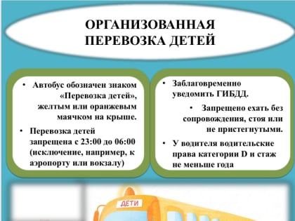 Безопасность детей в транспорте: важность соблюдения правил