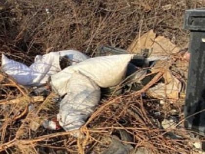 «Так вот откуда этот хлам!»: волгоградцы разгадали тайну рождения мусорных завалов на улицах