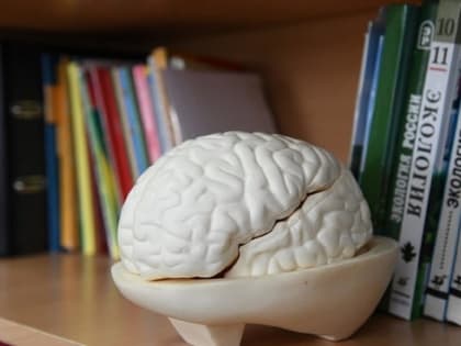 Проблемы с сосудами могут стать причиной развития болезни Альцгеймера у мужчин