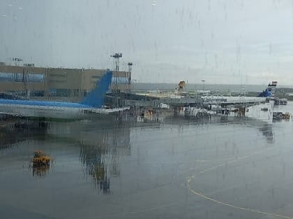 Билеты и услуги «Аэрофлота» теперь можно оплатить по SberPay