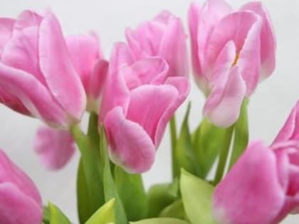 С праздником, милые женщины!