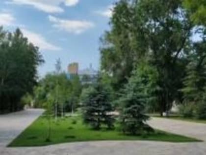 Обновление Городского сада: новые линии освещения и видеонаблюдение