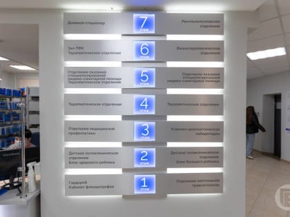 В Волгограде губернатор поставил задачи из-за роста заболеваемости ОРВИ