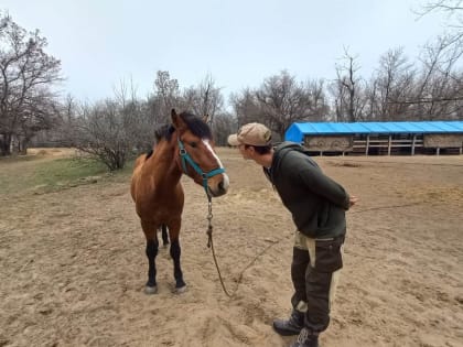 Волжские школьники познакомятся с казачьим бытом и природой родного края