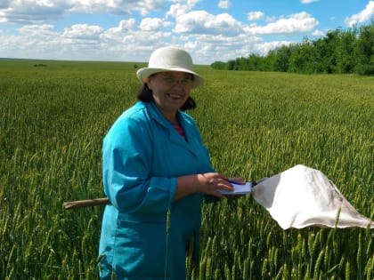Качество семян в Волгоградской области проверено в полном объёме