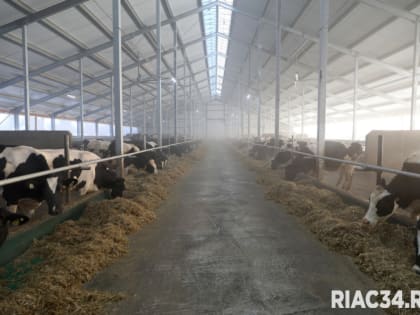 В Волгоградской области успешно создаётся крупнейшее производство молока