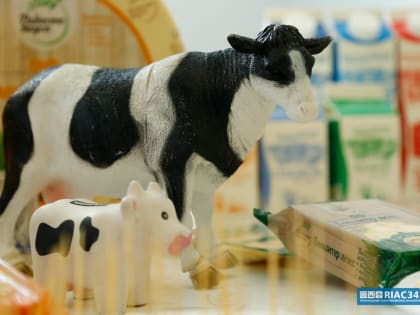 Рост производства молока и яиц в Волгоградской области