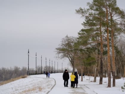 На Татьянин день в Волгоградской области ожидается похолодание до -20°С