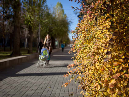 Профобучение для женщин в декрете в Волгоградской области становится доступнее