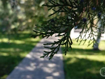 Православные празднуют день Куприяна и Устиньи