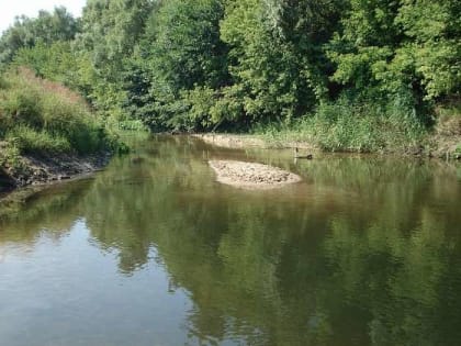 Дали добро: в Волгограде приступают к возведению первого этапа дороги через Волго-Ахтубинскую пойму