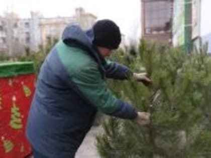 Подготовка к новогодним праздникам в Волгограде