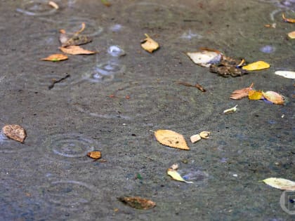 Дожди и похолодание до +2º пообещали волгоградцам синоптики