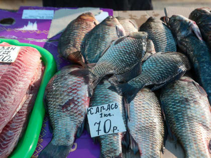 Дешевую и полезную рыбу посоветовали волгоградцам