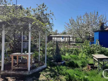 За неосвоенный дачный участок волгоградцы могут заплатить крупный штраф