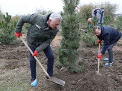 Саженцы в честь юбилея авиастроителя: волгоградцы высадили деревья