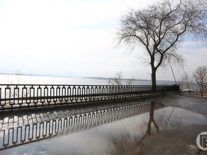 До плюс 18 потеплеет в Волгограде на рабочей неделе