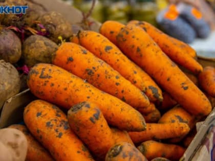 Морковь подорожала почти на 10%: в Волжском сезонные овощи не планируют дешеветь
