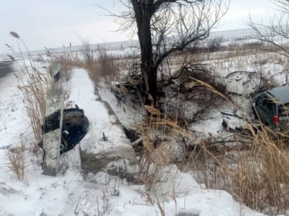 Под Волгоградом погиб водитель после падения иномарки в оросительный канал