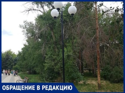 «Фонари в парке, того и гляди, придавят кого-нибудь», - волжанка