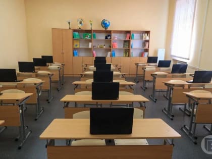 Детям с аллергией хотят разрешить не ходить в школу