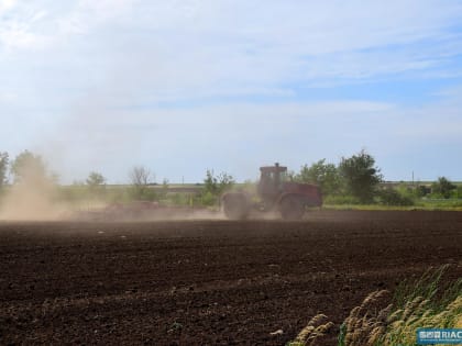 Волгоградские аграрии получат от государства 1 млрд рублей на проведение весенних полевых работ