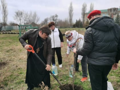 В Волгограде священнослужители высадят «Аллею Героев» в память о героях-земляках