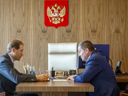 Глава Минпромторга обсудил с губернатором Волгоградской области перспективы развития предприятий