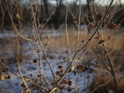 Чего категорически нельзя делать в Тимофеев день, 4 февраля