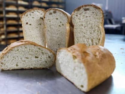 Нутрициолог опровергла популярные мифы про хлеб и картошку