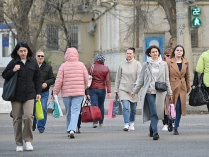 Безработные волгоградцы ищут себя в госуправлении и на маркетплейсах