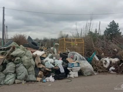 В Волжском начались рейды по несанкционированным свалкам