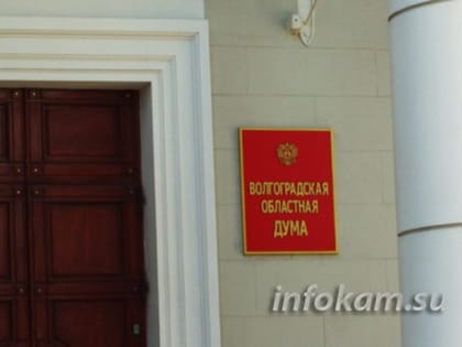 В Волгоградской области доходы депутатов будут обезличиваться