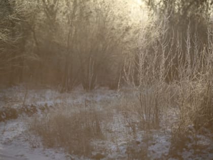 Чего категорически нельзя делать 17 февраля, в день Николы Студеного