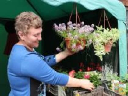 В Волгограде готовятся к открытию специализированные ярмарки и площадки для продажи саженцев