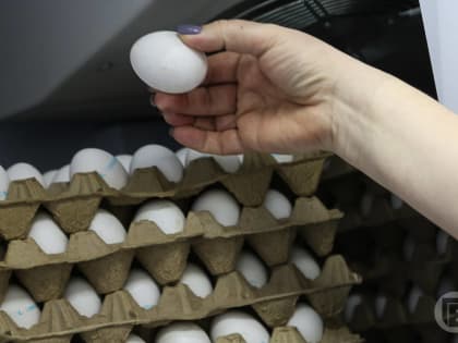 Волгоградцам рассказали, сколько белка употреблять в день