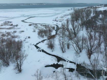 Восточный ветер, снег и мороз ожидают Волгоградскую область 15 января