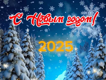 Дорогие друзья! С Новым  2025 годом!