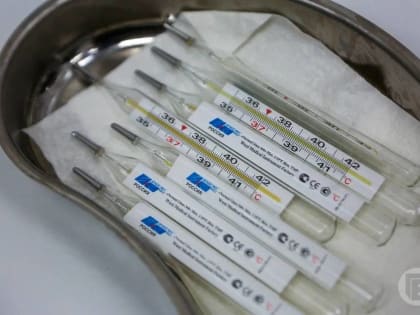 Заболеваемость ОРВИ и гриппом в Волгоградской области снизилась в 1,5 раза