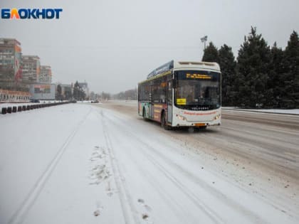 Большинство волжан не пользуются приложением для оплаты в смартфоне