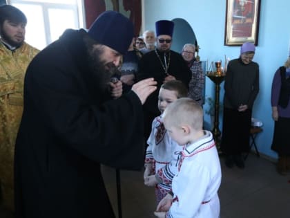 Митрополит Феодор: Спаси, Господи, тех, через кого Ты меня посещаешь