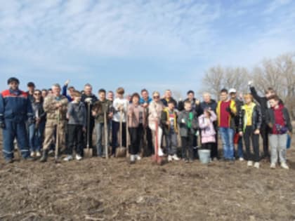 Не пропусти высадку деревьев.