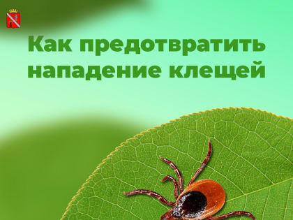 Как обезопасить себя